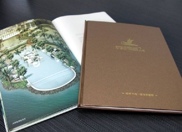 ?？?一號(hào)精裝樓書(shū)